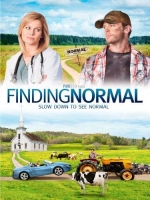 Finding Normal (2013) 720p WEBRip X264 Solar