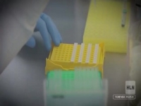 Forensic Files II S01E09 Family Tree 480p x264-mSD [eztv]