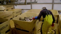 Ice Cold Catch S01E12 XviD-AFG EZTV