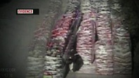 Snapped S29E20 XviD-AFG EZTV Snapped S29E20 XviD-AFG EZTV