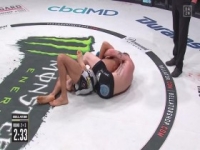 Bellator 239 Postlims 480p x264-mSD [eztv]