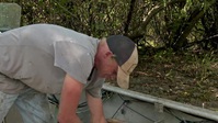 Swamp People S14E06 XviD-AFG EZTV Swamp People S14E06 XviD-AFG EZTV