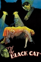 The Black Cat 1934 1080p BluRay x264 DTS-FGT