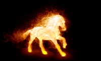 Fire Horse Screensaver - Animated Wallpaper