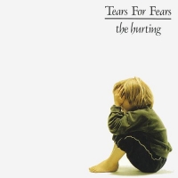 Tears For Fears - The Hurting (1983) [88.2hz - 24bit]