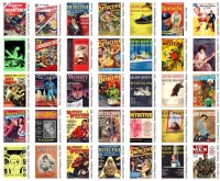 Old Pulp Magazines Collection 39 (gnv64)