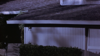 Pulse 1988 1080p BluRay H264 AAC