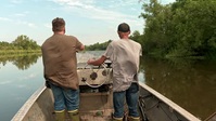 Swamp People S14E05 XviD-AFG EZTV Swamp People S14E05 XviD-AFG EZTV