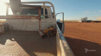 Outback Farm S01E01 XviD-AFG EZTV