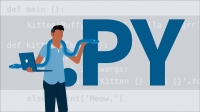 Lynda | Python Essential Training [FCO]