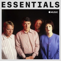 New Order - Essentials (2020) Mp3 320kbps [PMEDIA] ️