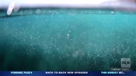 Forensic Files II S02E03 The Rise XviD-AFG EZTV Forensic Files II S02E03 The Rise XviD-AFG EZTV