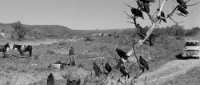 Hud (1963) [BluRay] [1080p] [YTS] [YIFY]