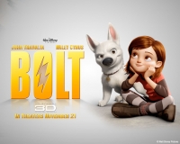 Bolt CAM XVID - STG