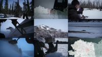Life Below Zero S11E12 WEB x264-TBS Life Below Zero S11E12 WEB x264-TBS
