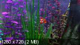Finding Nemo 2003 PORTUGUESE 720p BRRip x264-nTHD