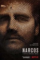Narcos S03E05 480p x264-mSD