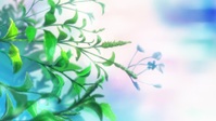 The Ancient Magus Bride S02E01 1080p HEVC x265-MeGusta EZTV The Ancient Magus Bride S02E01 1080p HEVC x265-MeGusta EZTV