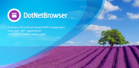 TeamDev DotNetBrowser v1.21.3 + Patcher [FTUApps]