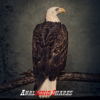 Clutch - Book of Bad Decisions 2018ak