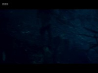 Avoidance S01E06 480p x264-mSD EZTV Avoidance S01E06 480p x264-mSD EZTV