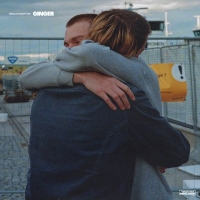 BROCKHAMPTON - GINGER (2019) [320 KBPS]