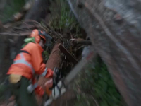 Timber Titans S01E01 480p x264-mSD EZTV