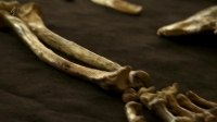 Channel 4 First Humans The Cave Discovery 2015 MVGroup mkv[eztv]