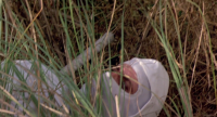 Enter The Ninja 1981 1080p BluRay H264 AAC Enter The Ninja 1981 1080p BluRay H264 AAC