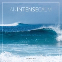 [ DevCourseWeb ] An Intense Calm - Maldives Eco Surfing Chronicle