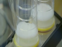 How Its Made S31E03 480p x264-mSD [eztv]
