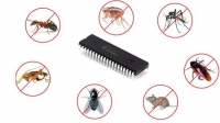 [ DevCourseWeb ] Udemy - PIC Microcontroller Insect Detector