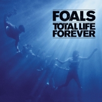 Foals - Discography (2008-2019) [FLAC] [DJ]