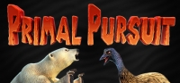Primal Pursuit