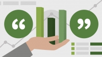 Lynda - Data Visualization: Storytelling