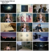 Einstein's Quantum Riddle (1280x720p HD, 50fps, soft Eng subs)