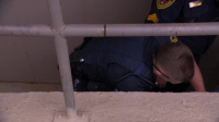 Cops S36E16 XviD-AFG EZTV Cops S36E16 XviD-AFG EZTV