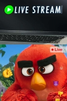 Live Stream 2019 BDRip x264-FLAME[TGx]