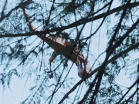 Timber Titans S01E08 480p x264-mSD EZTV
