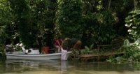 Killer Crocodile 2 (1990) [BluRay] [720p] [YTS] [YIFY]