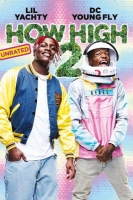 How High 2 2019 720p HDTV 800MB x264-GalaxyRG