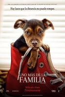 A Dog’s Way Home 2019 DVDR NTSC YG