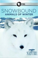 Snowbound 2017 720p BluRay 800MB x264-GalaxyRG