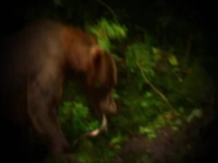 First Blood S01E02 480p x264-mSD EZTV