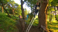 Springwatch S18E04 1080p HEVC x265-MeGusta EZTV