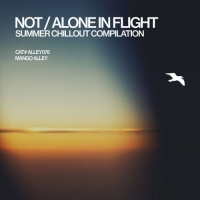 VA - NotAlone in Flight (2018) MP3 [320 kbps]
