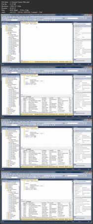 [ DevCourseWeb ] Beginner Data Analysis Using SQL and Microsoft SQL Server