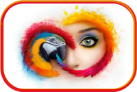 Adobe Master Collection 2019 RUS-ENG (x86x64) v5 {APKMAZA}