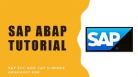 [ FreeCourseWeb ] Udemy - SAP Idoc Integration everything related