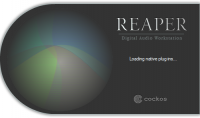 Cockos REAPER v6.03 + Patch-Keygen - [haxNode]
